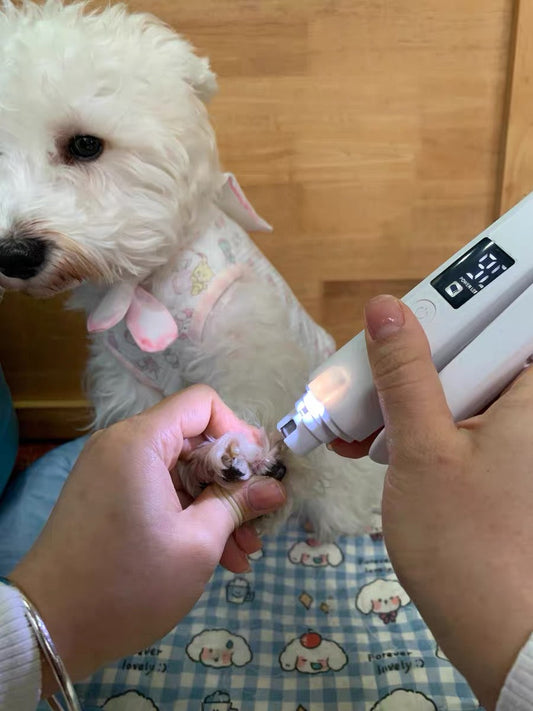 How to Trim Black Dog Nails Safely: The "Clip & Grind" Technique